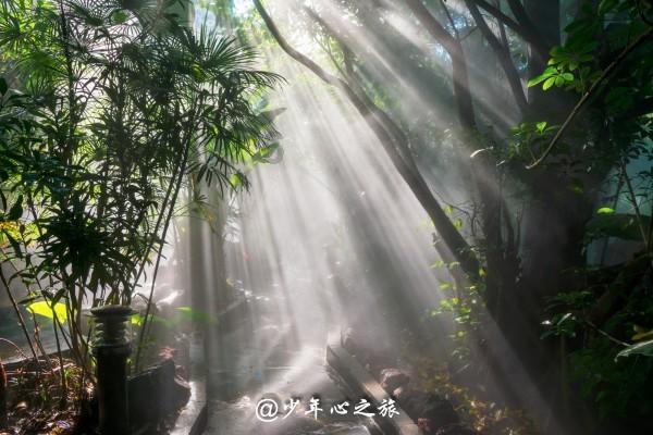幻想三国2
